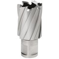 Hougen 1-1/16 in. X 1 in. 12,000-Series Annular Cutter 12134